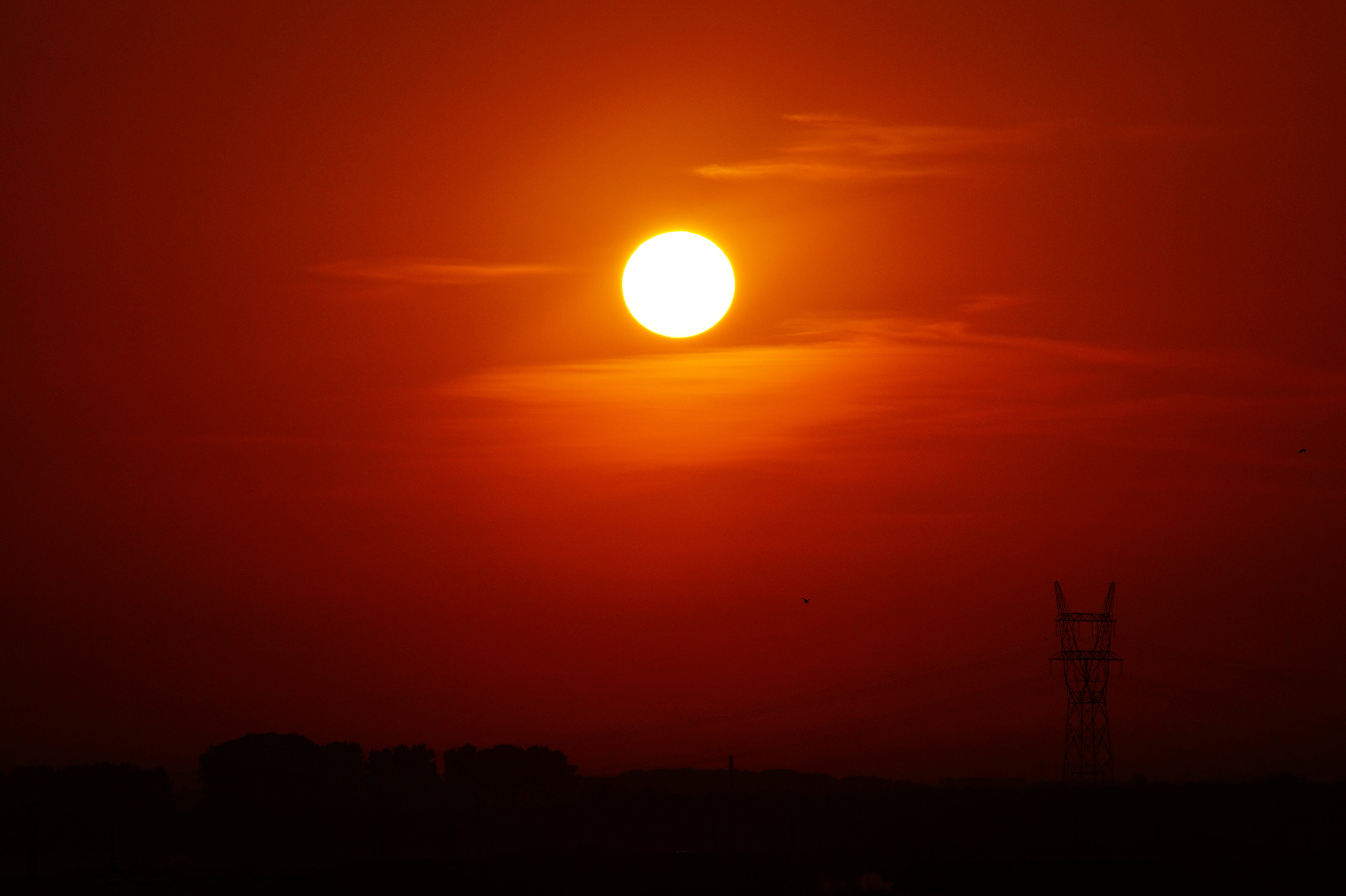 Most of the developed and developing countries in the world are striving to obtain independence from conventional energy resources. With the rising dangers of climate change, many countries are coming together to mitigate their ill effects which have already started happening.         Developing countries are making a gradual shift towards new green energy sources, and India has become one of the leaders of the pack.   In 2018, India surpassed Japan to become the third-largest marketer of solar energy in the world. The country aims to add 100 Gigawatts of renewable capacity by the end of the year 2022.   India is on its way to improve its technological and economic aspects of solar energy. India has 7 cities in the top 10 most polluted cities in the world. The country has decided to limit its reliance on fossil fuels. This has laid a transition path towards attaining sustainable energy goals, to match the ever-increasing fuel demands and reducing India’s carbon footprint in the atmosphere.   India’s per capita energy consumption is close to one-third of the world’s average. India is running solar energy initiatives in a big way and has emerged as an attractive market for solar and other renewable energy equipment. With the headquarter of International Solar Alliance, India is set to lead the world’s most advanced solar energy initiatives.        Solar was once considered as an ideal form of energy which cannot be used in practical applications but with so many technological achievements, it is now even cheaper than the conventional form of energy. India has already achieved 23 GW of its set target and next 40 GW is in the different stages of bidding and development. These efforts point out one thing that India is gearing itself for a massive energy revolution, with the share of renewable going up rapidly.    Solar Energy Transition India  The growth of solar power in India has revolutionized the energy business in India. It has, in many ways democratized the energy production in India. Before the solar power sector taking a boost, the majority of the Indian energy market was propelled by giants running the fossil fuel companies. They dominate even today, but with solar power, there exists an alternate market where small businesses and industries are involved in the manufacturing of solar panels and products.   In recent years, the growth of solar power in India has been phenomenal. India has surpassed USA two become the second largest solar power market in the world (In terms of solar panel installation). The country currently has a 25 GW of solar panel capacity as opposed to 9 GW in 2015. Large scale solar panel installation marks up to 80% of total solar power capacity while the government is pushing rooftop solar panels through various policies. In 2018, solar accounted for nearly 50% of all the renewable capacity additions in the country.   India along with many South Asian countries is pushing the growth of the renewable market. The trend is likely to pace in the coming years - Tech Strange